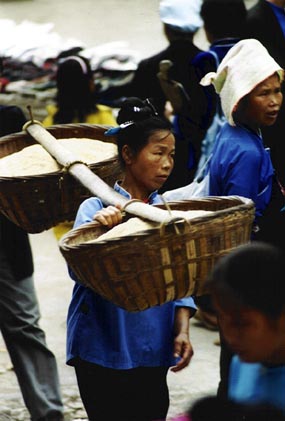 Woman with a large load of rice